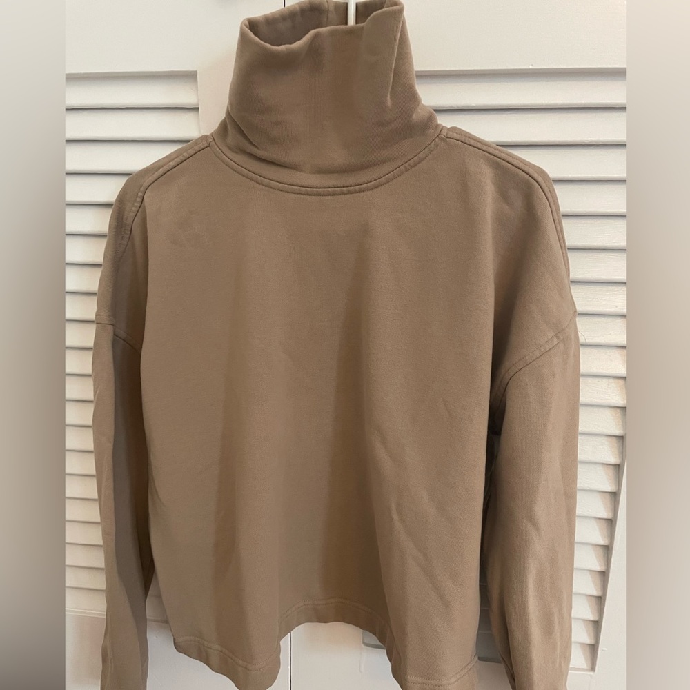 Everlane turtleneck sweatshirt